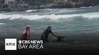 World Dog Surfing Championships return to Pacifica with big crowds and bigger waves