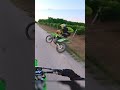 Un cerf renverse un motard à pleine vitesse