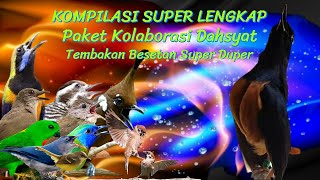 MASTERAN SUPER LENGKAP PAKET KOMPLIT KOLABORASI DAHSYAT WAJIB UNTUK MURAI BATU JUARA