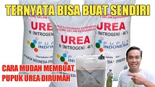 Cara Membuat Pupuk UREA Sendiri Dirumah || Manfaatnya Luar Biasa Untuk Tanaman