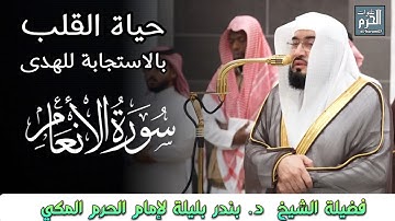 حياة القلب بالاستجابة للهدى لفضيلة الشيخ د. بندر بليلة لإمام الحرم المكي من سورة الأنعام 
