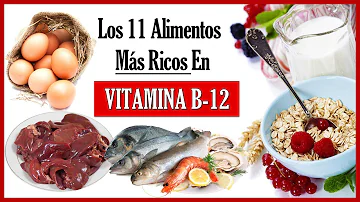 ¿Qué alimentos tienen un alto contenido en vitamina B12 y hierro?