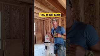 How to Kill Mold