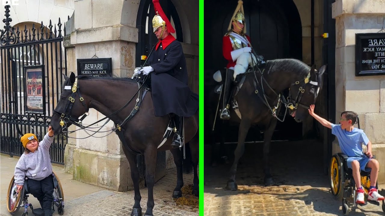 7 Beautiful Times Tourists Make SPECIAL Bond With Kings Guard Horse.