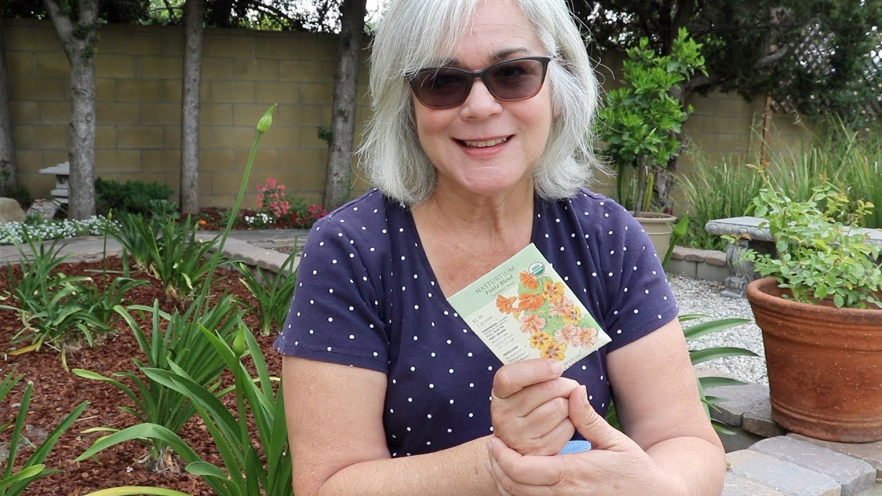Urban Homestead | Small Space Gardening | Companion Planting - YouTube