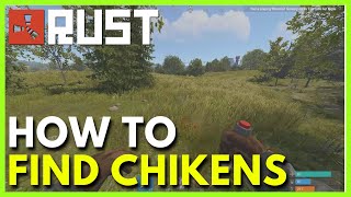 How to Find Chickens in Rust — Best Chicken Locations & Tips (Full Guide)