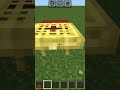 Minecraft viral TikTok hack#minecraft #shorts #tiktok #viral
