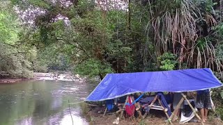 Mancing camping 2023 berburu ikan di pedalaman hutan Kalimantan