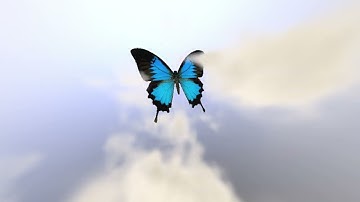 Butterfly (disqualification for using commercial music) by DJ - PC Demo - Xenium 2025