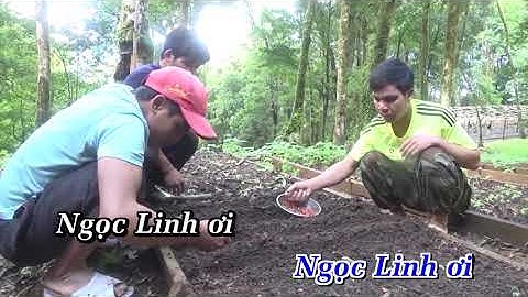 Huyền Thoại Ngọc Linh - ST Xuân Đề