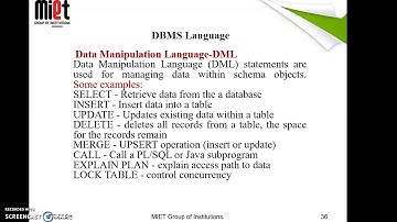 DBMS Languages and Interfaces