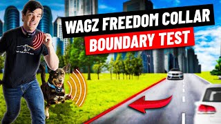 Wagz Freedom Collar Boundary Test (Downtown Suburbia)