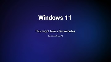 Windows 11 First Boot Animation