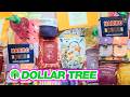 Dollar Tree Haul: New Finds, Dupes & Summer Vibes🌞