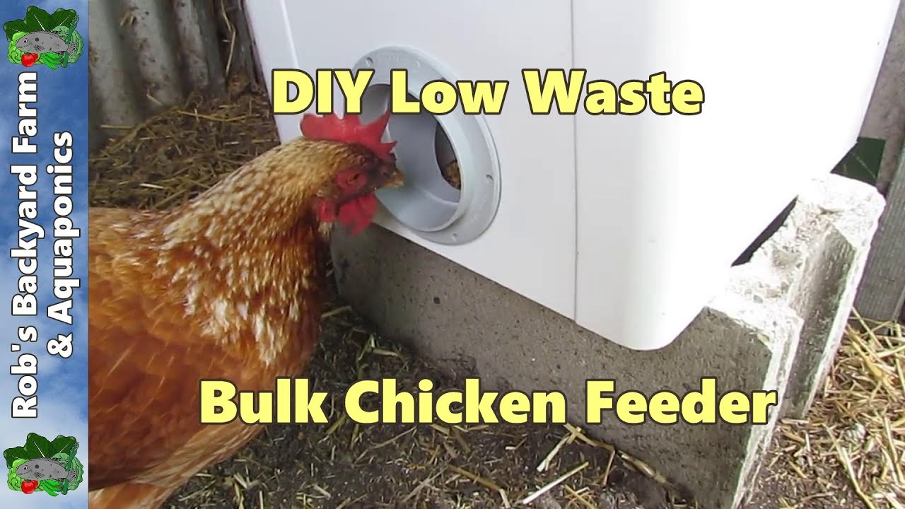 CHEAP Chicken Feeder, How to Build a BULK Chicken/Poultry ...