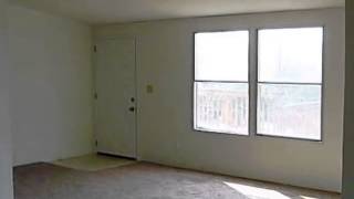 301 Bristlecone Dr video tour