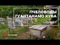 Пчеловоды Гуантанамо - Куба (Леандр Годадэн, 5 серия)
