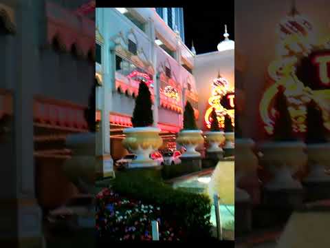 enjoy live entertainment at Majestic Pride Casino