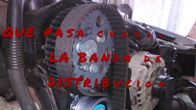 Qué es la correa de distribución y por qué te despedirás de tu motor si se  rompe en marcha