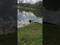 LA CONNESSIONE CON LA NATURA😅😅😅