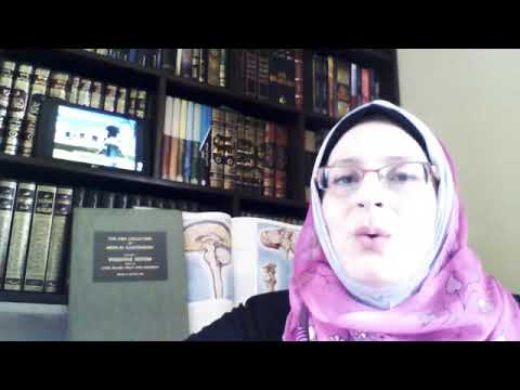 و من آياته منامكم نوم حركة العين السريعة  نوم حركة العين غير السريعة  جزء 2