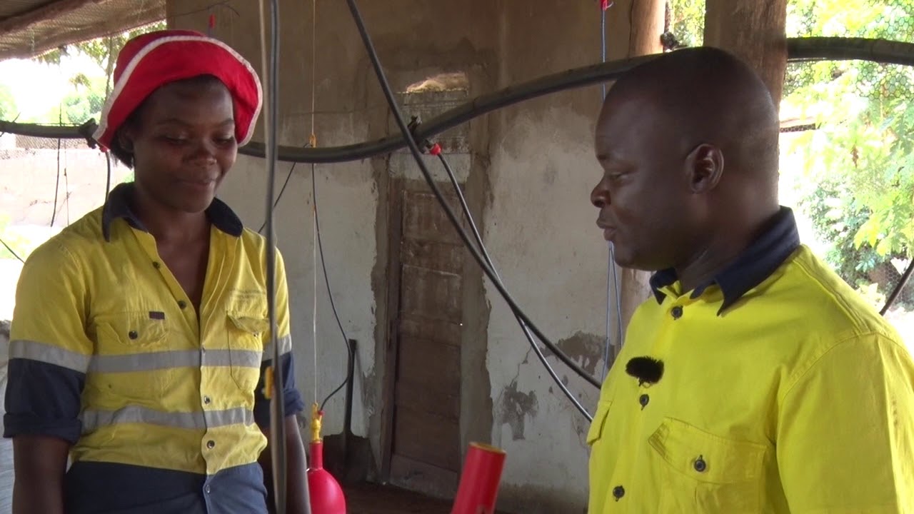 Abrantes Castigo um jovem avicultor de sucesso