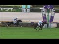 歴代最強馬のイクイノックス全妹イクシードが東京芝2000mでデビュー戦を迎える!果たして評判通りなのか?評判倒れか?