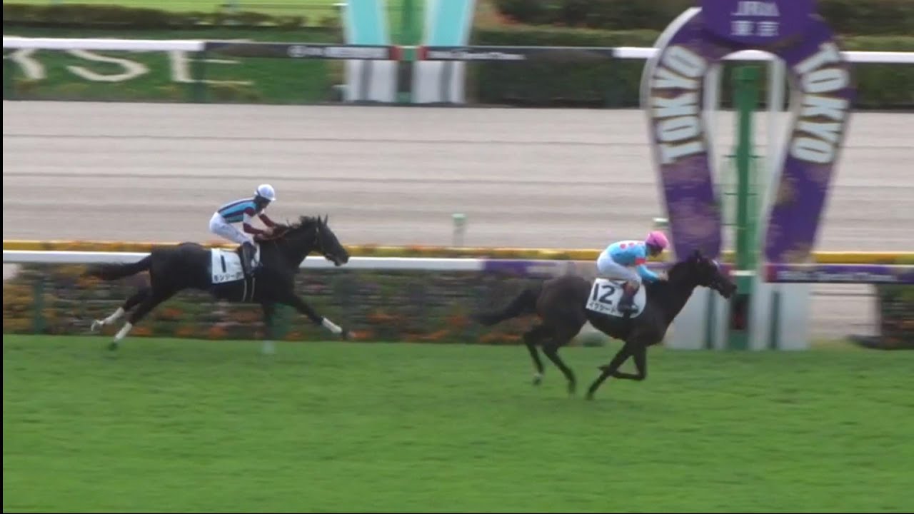 Exceed, the full sister of the all-time great horse Equinox, will