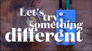 Count to 5 - Montreal Assembly - Five minutes of fun