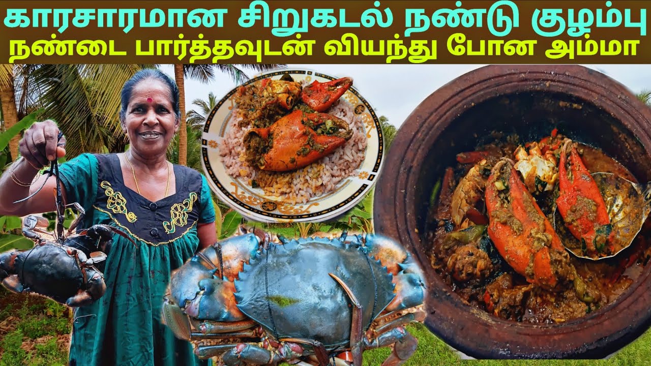 பச்ச அரிசிசோறும் தரமான நண்டு கறியும் l village life 💚 vanni bro 