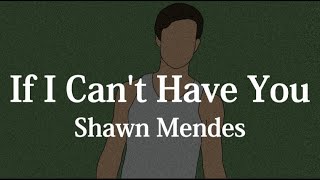 【和訳】Shawn Mendes - If I Can't Have You
