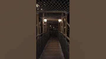 #tree #treehouse #bridge #night #explore #explorer #adventure #adventuretime #travelvlog #travel