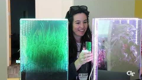 2023 Digital Media Showcase