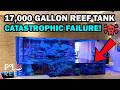 LARGEST HOME REEF AQUARIUM DISASTER!