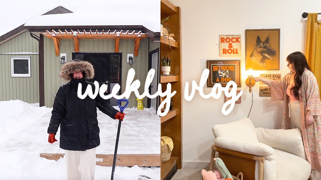 Еженедельный видеоблог * снежные бури + стена с картинами!