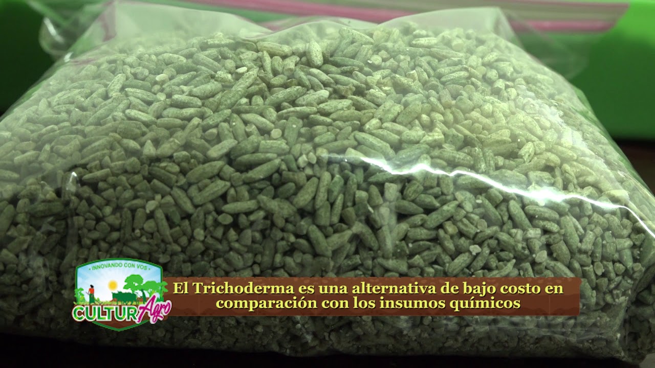 Beneficios del Trichodema