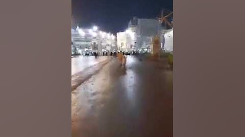 عندما يجتمع جمال الصوت مع جمال المكان تلاوه خاشعه للشيخ ياسر الدوسري