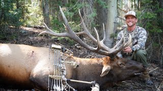 UTAH Bow hunting elk on public land | 39 yard kill shot