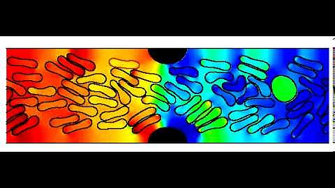 2D vesicle flow test