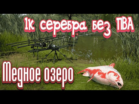 Видео: РР4 / 1000 серебра за час / БЕЗ ПВА / оз. Медное