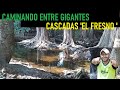 Video de Soyaniquilpan de Juarez