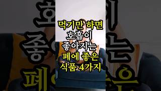 먹기만 해도 호흡이 좋아지는 폐에 좋은 식품 4가지