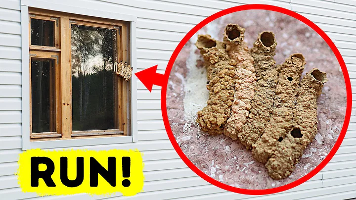 60+ Animal Facts You Didn't Know 2 Minutes Ago