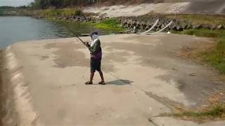 Download lagu Mancing Bader Besar Di Dam Karet Megaluh Mancing Bader Besar Di Dam Karet Megaluh