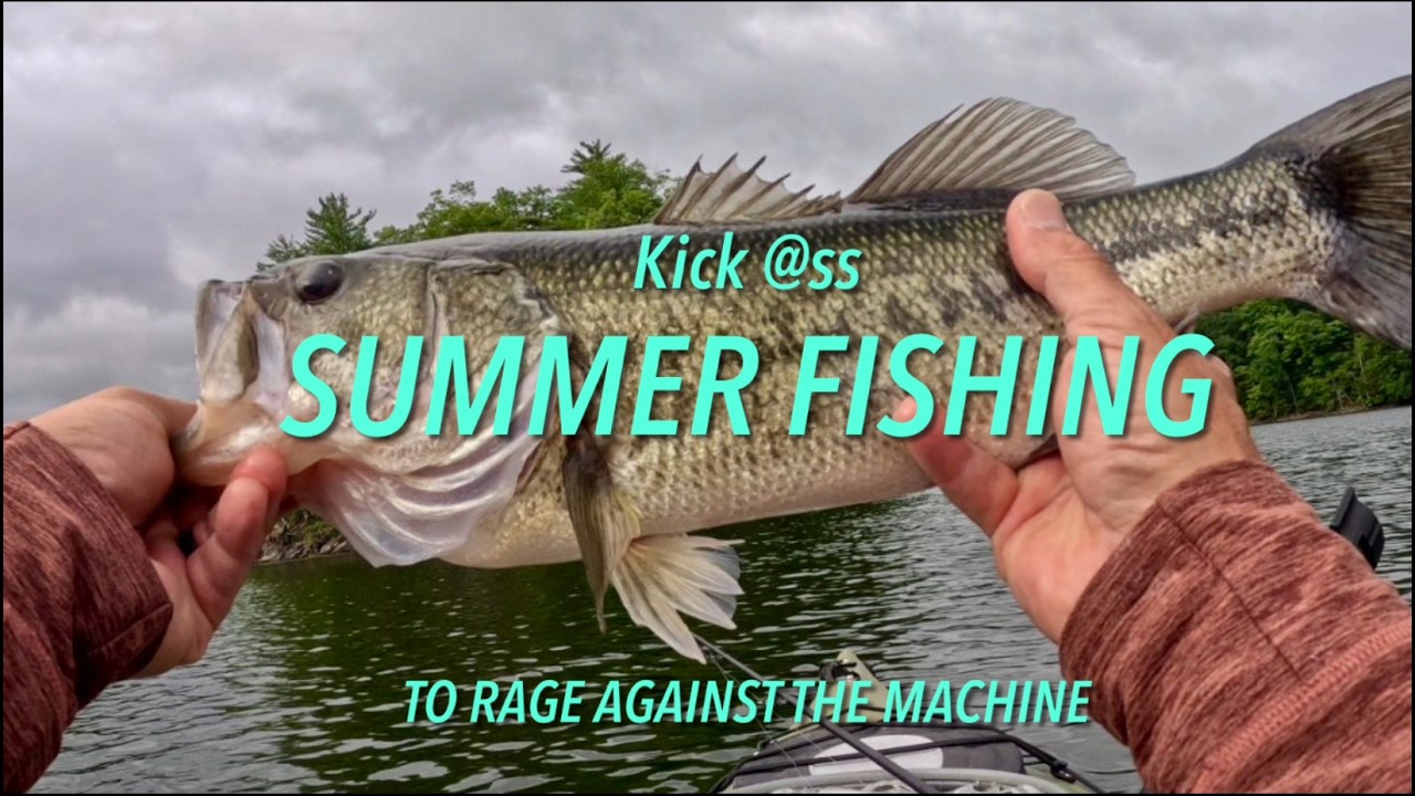 Summer Freshwater Fishing Compilation to Rage Against the Machine #nature #love #bassfishing #fish