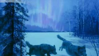 Tikaani pack Wolf slideshow