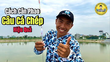 Cách Cân Phao Câu Cá Chép Hiệu Quả Nhất?