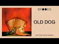 Miniature de la vidéo de la chanson Old Dog