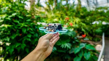 Risky FPV Flight Indoors — Flying A Butterfly Conservatory!