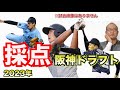 【阪神タイガース】2023ドラフト採点 下村海翔 投手を筆頭に高卒野手を指名！山田脩也 内野手 仙台育英 　百崎蒼生 内野手 東海大熊本星翔